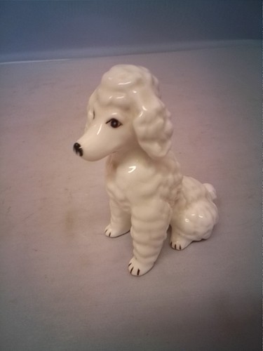 Vintage white poodle sitting - vintage,