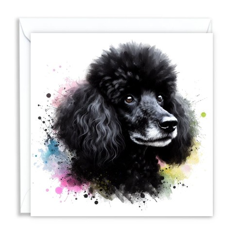 Poodle black dog - black, watercolour