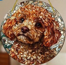 COCKAPOO Cavapoo Poodle Doodle