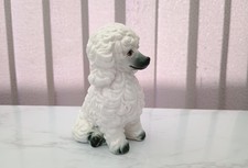 White Poodle Beautiful