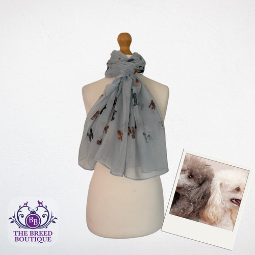 Poodle print scarf ladies - poodle,
