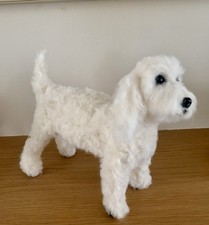 Bichon  Frise/ Poodle Hand