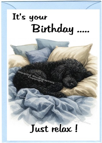 Poodle black dog birthday - black, card