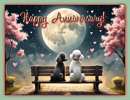 Happy anniversary poodle card - happy,