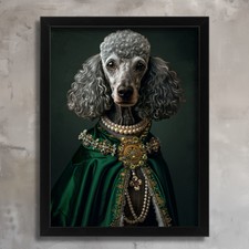 Aristocratic Grey Poodle