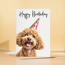 Poodle Dog Birthday Card For