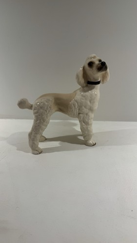 Poodle beautiful ceramic - beautiful,
