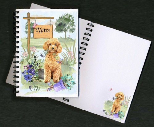 Poodle dog - poodle,