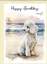 Poodle White Dog Birthday Card