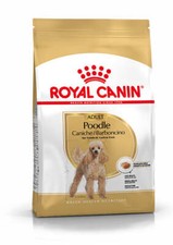 Poodle Adult Dry Dog Food