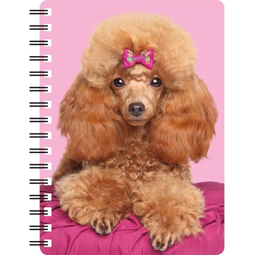 Poodle red 3d - poodle,,
