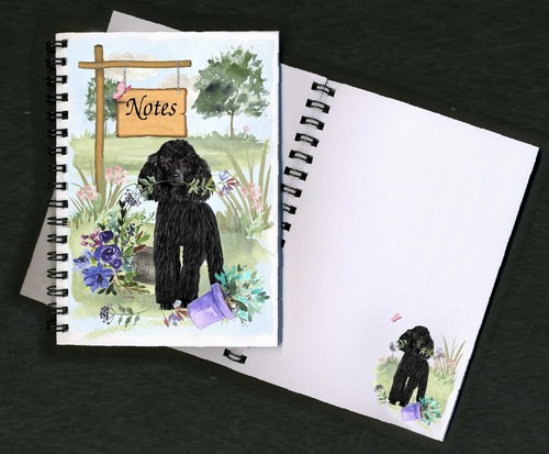 Poodle black dog - poodle,
