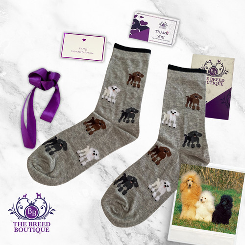 Poodle socks fun unisex - poodle,