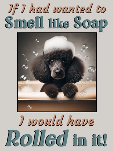 Poodle funny gift - poodle,