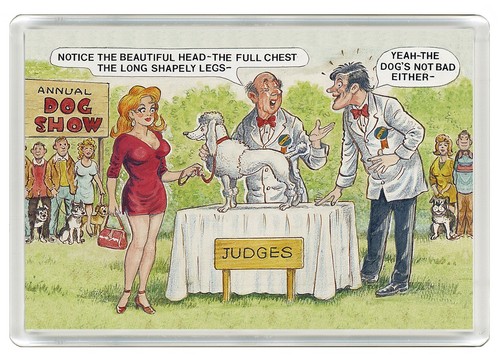 Poodle comic dog - poodle,